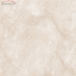 Керамогранит Гранитея Сугомак Коричневый  G324  MR (60х60) матовый